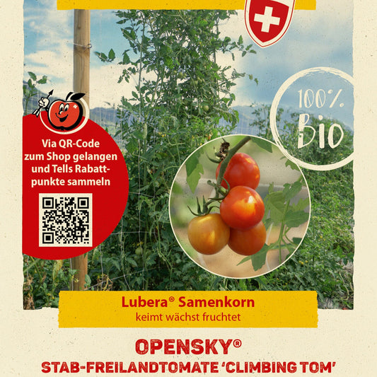 Freilandtomate OpenSky® 'Climbing Tom®'-Saatgut