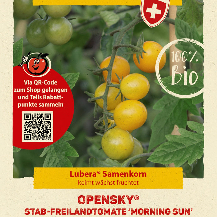 Freilandtomate OpenSky® 'Morningsun®'-Saatgut