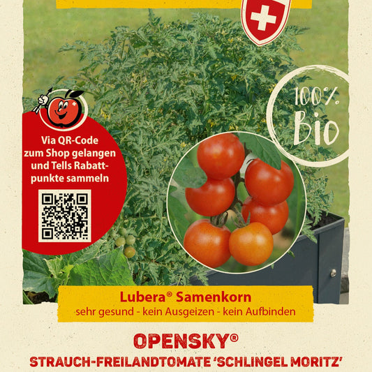 Freilandtomate OpenSky® 'Schlingel Moritz®'-Saatgut