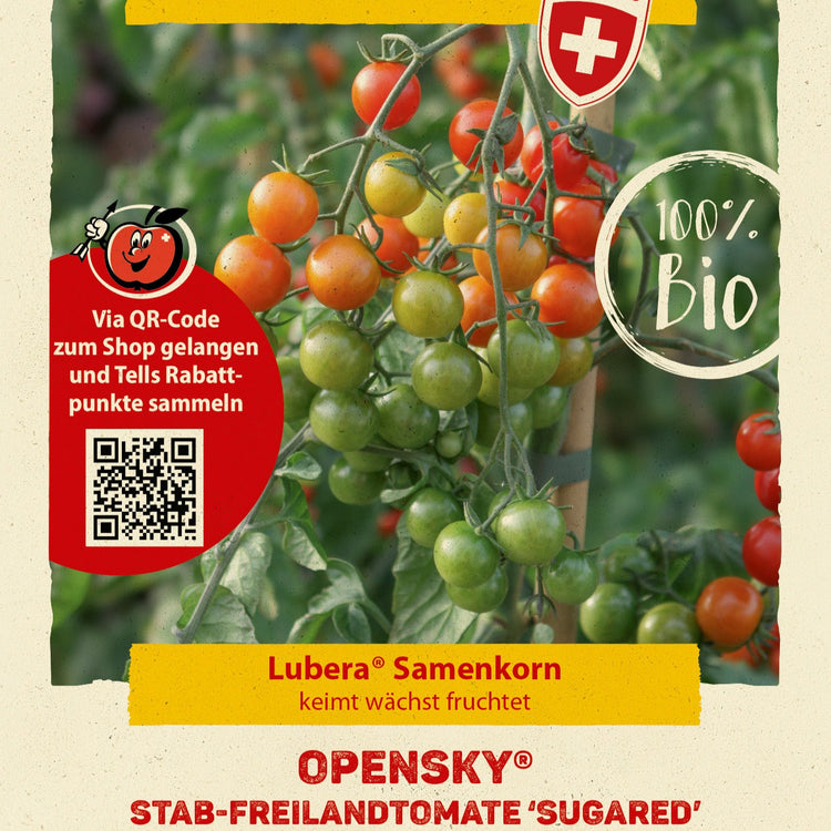 Freilandtomate OpenSky® 'Sugared®'-Saatgut